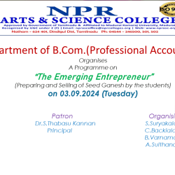 The Emerging Entrepreneur